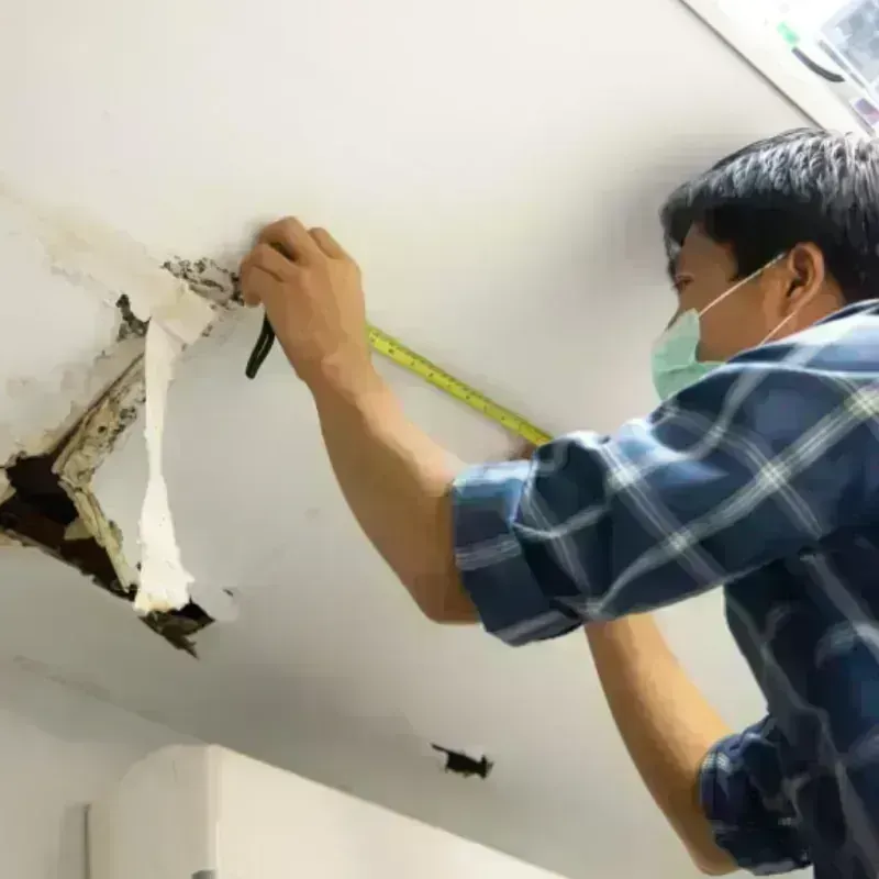 Ceiling And Wall Water Damage in Highlands-Baywood Park, CA