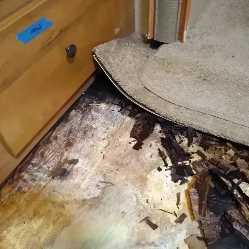 Wood Floor Water Damage in Highlands-Baywood Park, CA